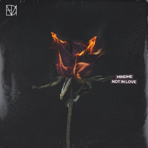 Not in Love - Single