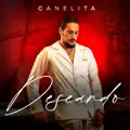 DESEANDO