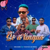Só a Língua (feat. Tchutchu Lhe Brinca) - Single - Tamu Numa
