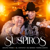 Suspiros (En Vivo) artwork