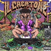 IL CACATONE - HIGHFLYER