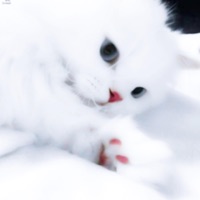 T AMO (feat. HellA & sadakoqq) - Single - mqrc