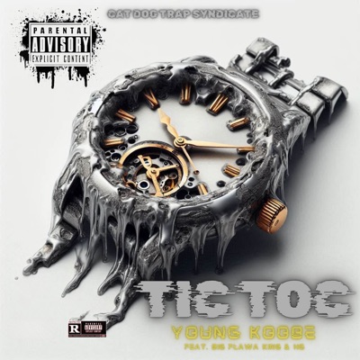 Tic Toc (Cat Dog Trap Syndicate) [feat. Big Flawa King & HG the revelation] - Single