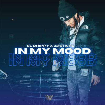 IN MY MOOD (feat. 33STATIC) - Single