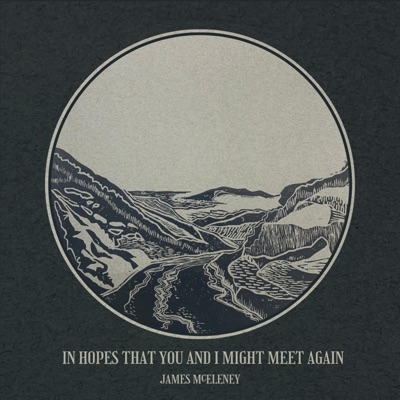In Hopes That You And I Might Meet Again (feat. Frank Evans, Ben Plotnick & Andrew Collins)