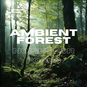 Ambient Forest Noises for Focus