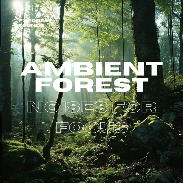Ambient Forest Noises for Focus