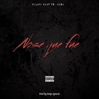 Nose que fue (feat. Jota) - Single - Felipe Fasf
