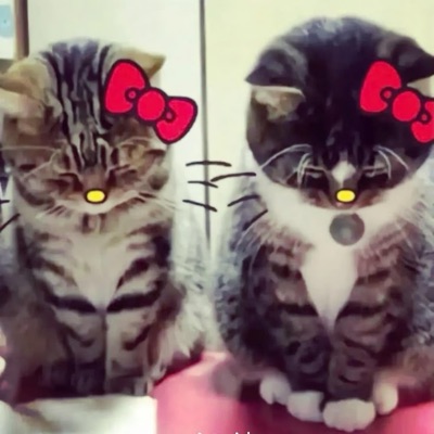 montana (feat. Apentsor) - Single