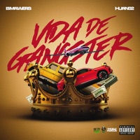 VIDA DE GANSTER (feat. Huan62) - Single - B mawers
