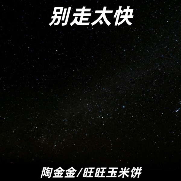 别走太快 - Single
