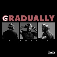 Gradually - Single - Flameice