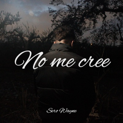 No me cree (feat. Kata6i) - Single