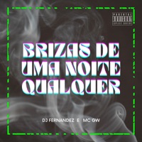 Brizas de Uma Noite Qualquer - Single - DJ Fernandez