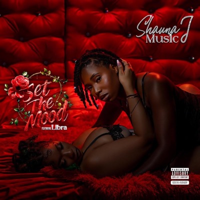 Set the mood (feat. Libra) - Single