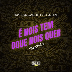 É Nois Tem Oque Nois Quer - Slowed