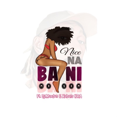 Nice Na Bani - Single