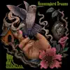 Hummingbird Dreams