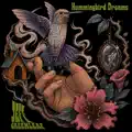 Hummingbird Dreams