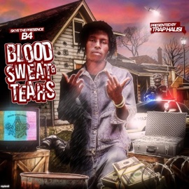 Groupie SKYE THE PRESENCE