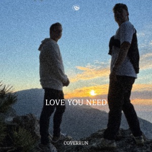 Love You Need - Single
