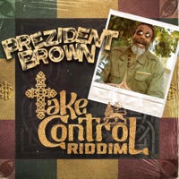 RIZE IT - Single - Prezident Brown