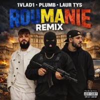 ROUMANIE (feat. 1VLAD1 & LAUR TYS) - Single - Plumb