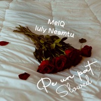 Pe un pat (Slowed) - Single - Melq & Iuly Neamtu