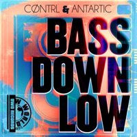 Bass Down Low - Single
