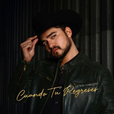 Cuándo Tú Regreses - Single