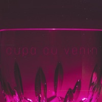 Cupa cu venin (feat. MAHAYA) - Single - Jack Favn