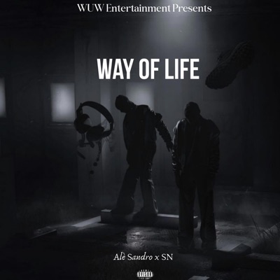 Way Of Life (feat. SN) - Single
