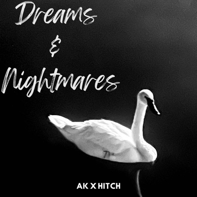 Dreams and Nightmares (halal beats) - Single