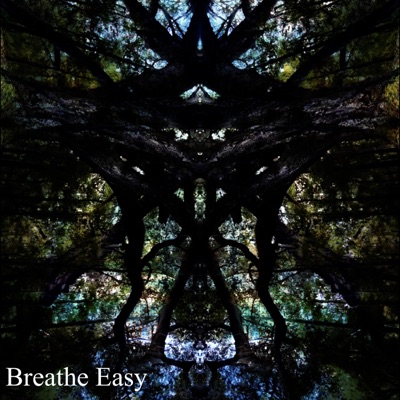 Breathe Easy (Alt Version) - Single