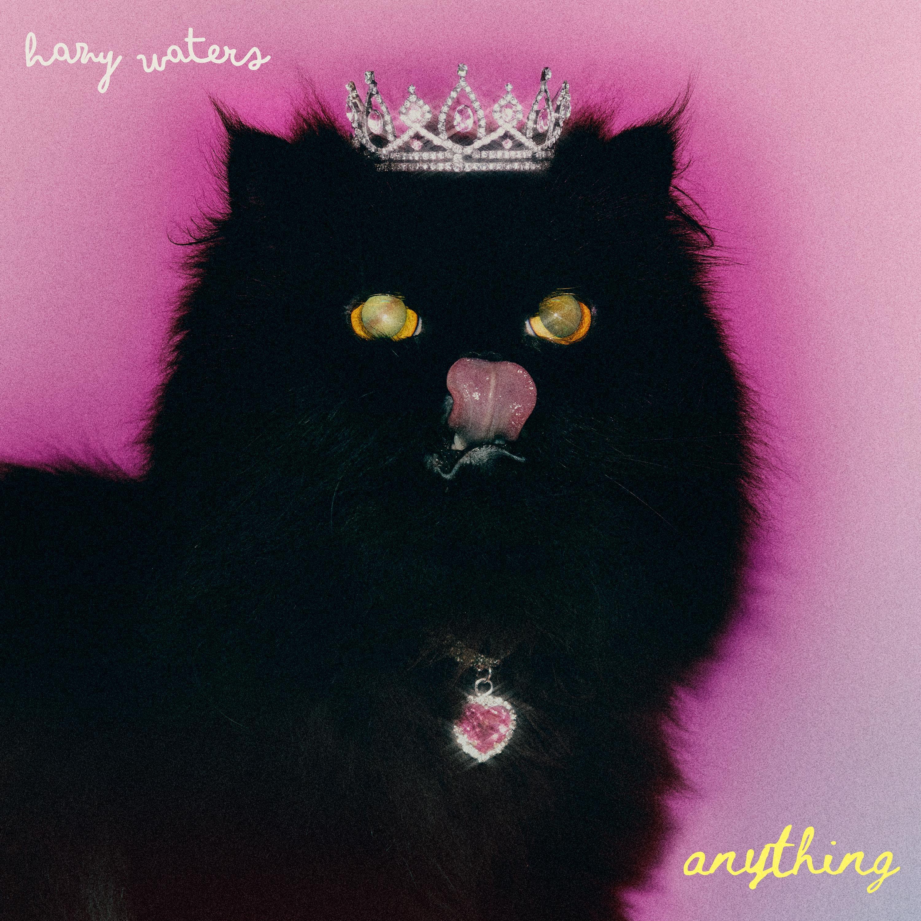 anything - Single