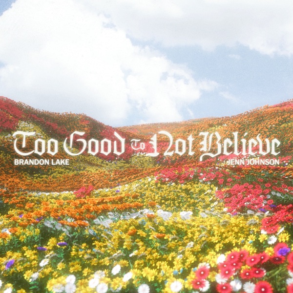 Too Good To Not Believe (Radio Version) - Single