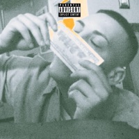 noses in the air - Single - $hyyguyy