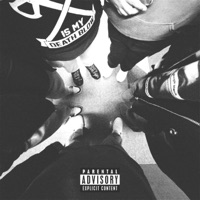 DIE IN THE HOOD (feat. euphorick, xHood, Saylor Rigsby, DXRKGHXUL & LotusXK) - Single - 3rd Hr.