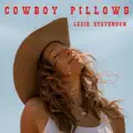 Cowboy Pillows