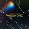 PASSWORD - Single