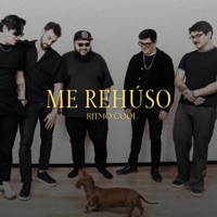 Me rehúso (feat. José Vera & King Buitre) - Single - Ritmo Cool