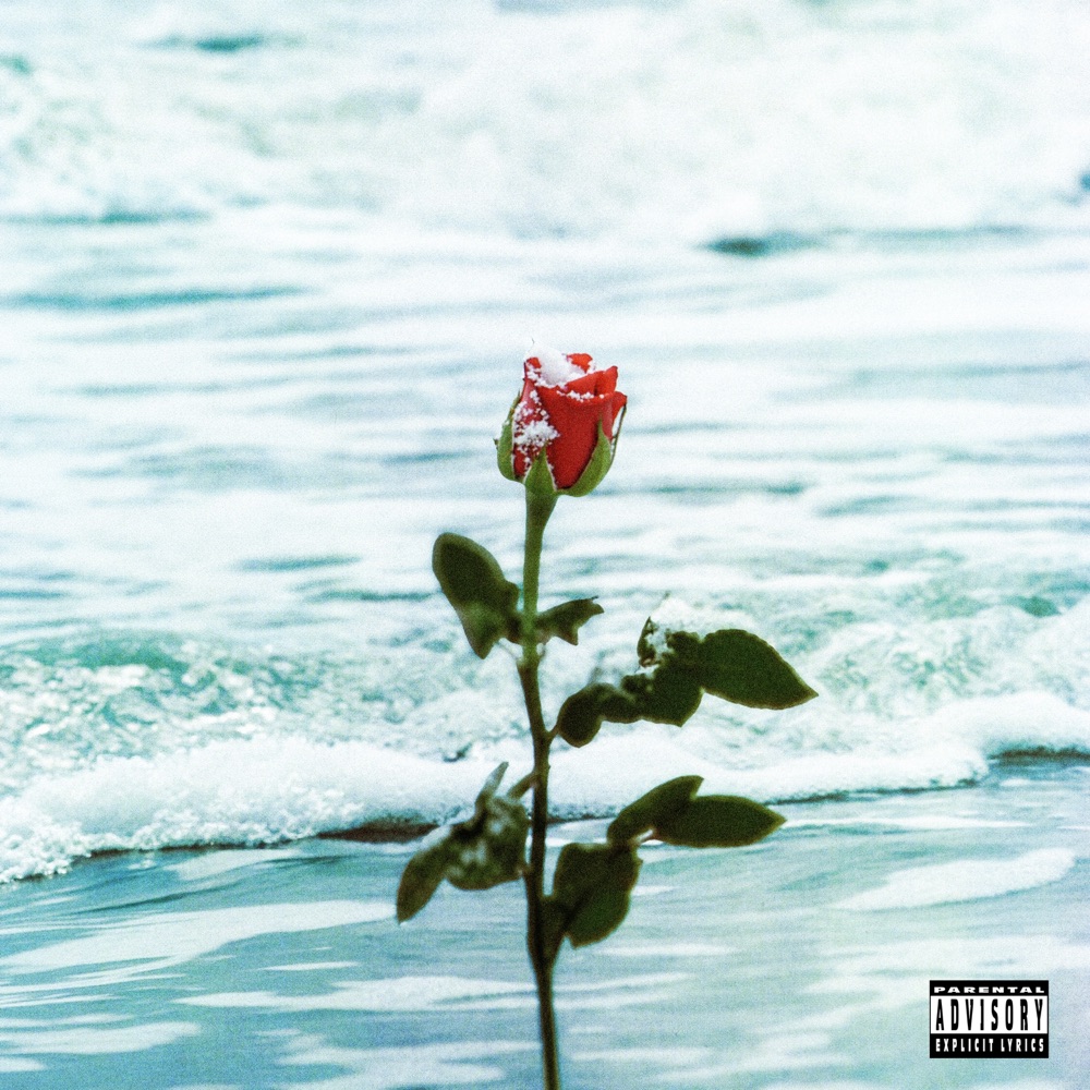 Обложка альбома «Blow Your Advance - Single» — Lulrose, Babyface Ray & Tony Shhnow