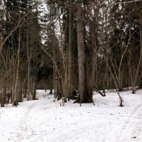 Bezgalība (feat. Andzhs) - Single - Amanito