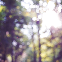 uaus vol.1 - EP - aced Cover Art