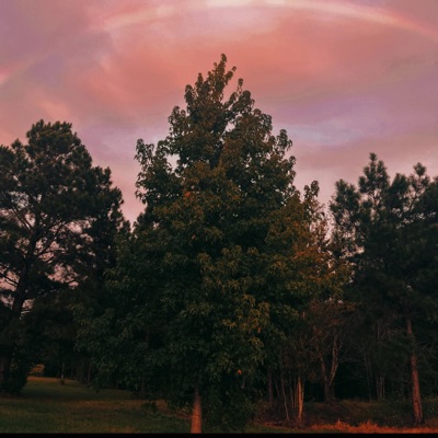 Summer Lovin - Single