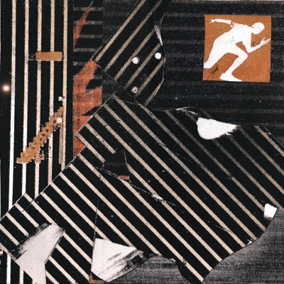 The Run (feat. 8088i) - Single