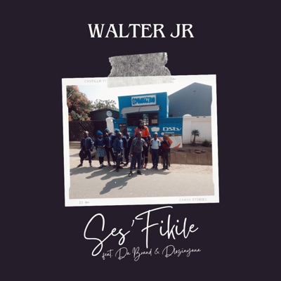 Ses'Fikile (feat. Walter JR, Da Brand & Dlozinyana) - Single