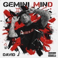 Gemini Mind - David J