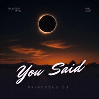 You Said - Single - Princodus Dj
