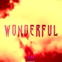 Wonderful - Single - BloodRedd